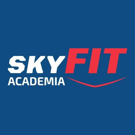 Logo Skyfit